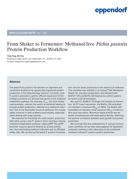 Methanol-Free Pichia Pastoris Protein Production Workflow