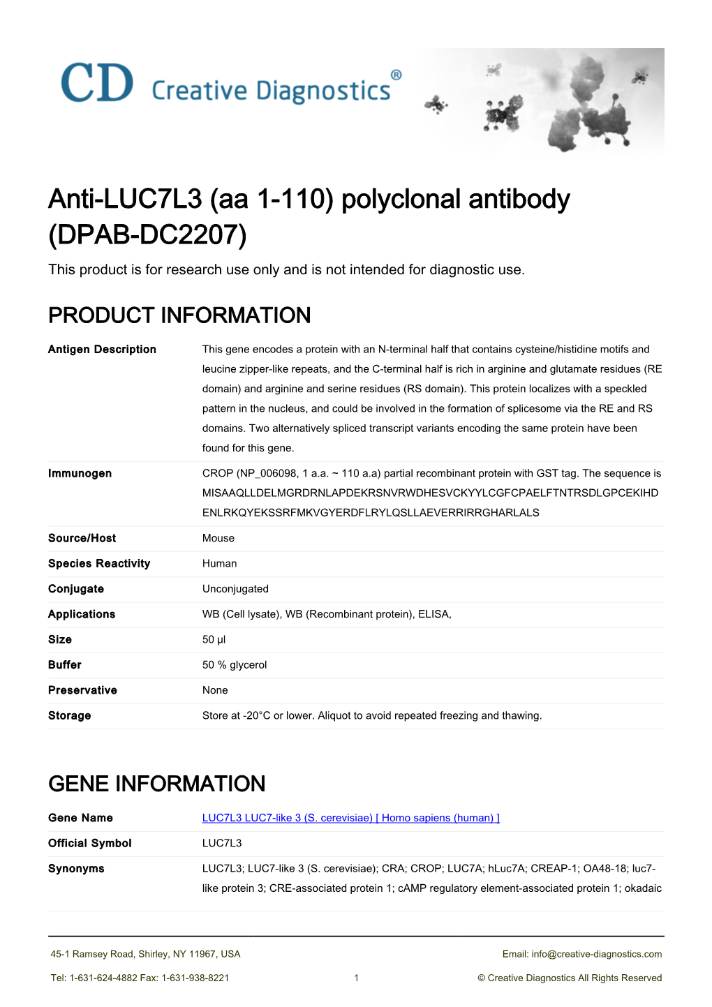 Anti-LUC7L3 (Aa 1-110) Polyclonal Antibody (DPAB-DC2207) This Product Is for Research Use Only and Is Not Intended for Diagnostic Use