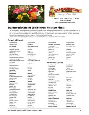 Scarborough Gardens Guide to Deer Resistant Plants