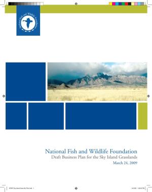 National Fish and Wildlife Foundation Draft Business Plan for the Sky Island Grasslands March 24, 2009