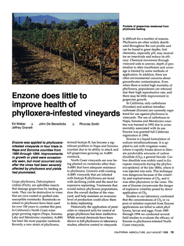 Enzone Does Little to Improve Health of Phylloxera-Infested Vineyards