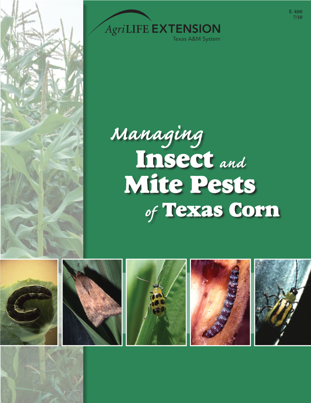 Managing Insect And Mite Pests Of Texas Corn Patrick Porter Associate ...