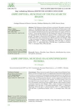 Lispe (Diptera, Muscidae) of the Palaearctic Region N