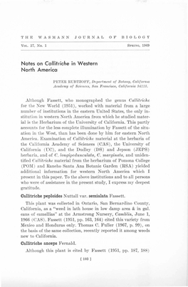 Notes on Callitriche in Western North America