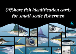 Offshore Fish Identification Cards for Small-Scale Fishermen
