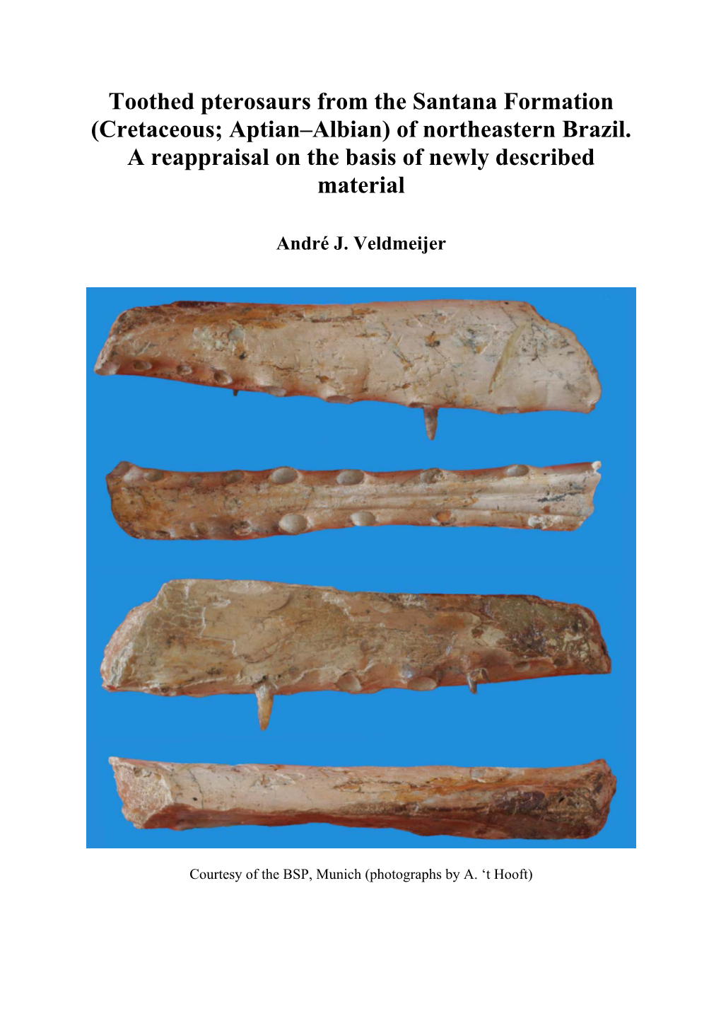 Pterosaurs from the Santana Formation (Cretaceous; Aptian–Albian) of Northeastern Brazil