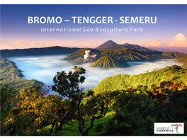 BROMO – TENGGER - SEMERU International Geo- Ecoculture Park BROMO – TENGGER – SEMERU DESTINATION PROFILE