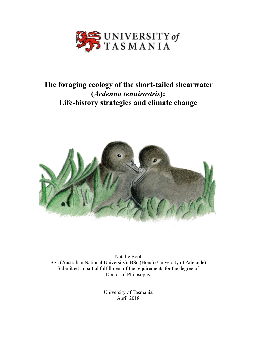 The Foraging Ecology of the Short-Tailed Shearwater (Ardenna Tenuirostris): Life-History Strategies and Climate Change