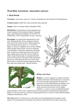 Amaranthus Spinosus