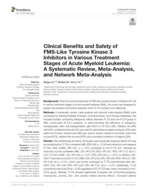Clinical Benefits and Safety of FMS-Like Tyrosine Kinase 3