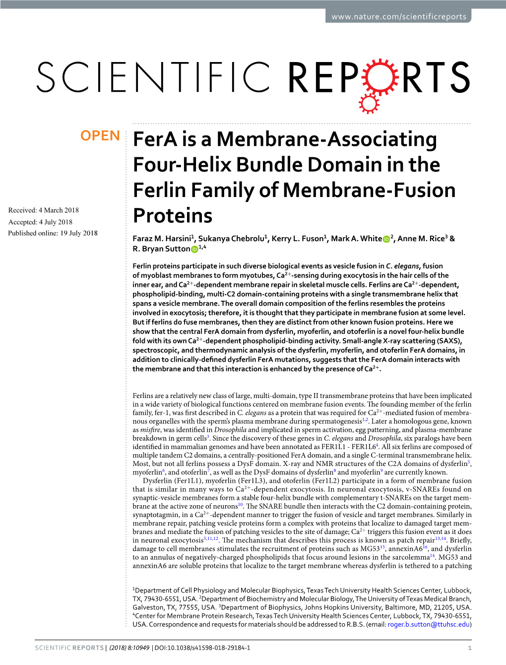 Fera Is a Membrane-Associating Four-Helix Bundle