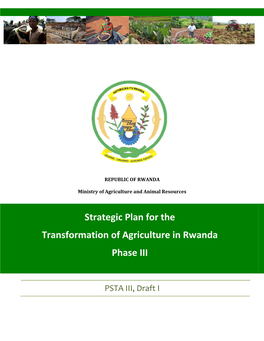 Strategic Plan for the Transformation of Agriculture in Rwanda Phase