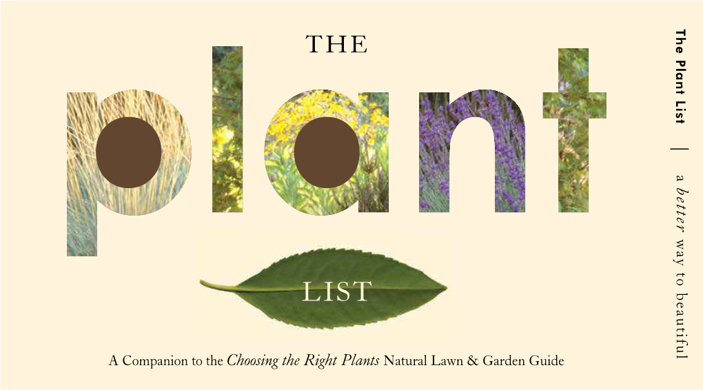 The Plant List the a Better Way to Beautiful