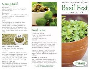 Storing Basil Basil Pesto