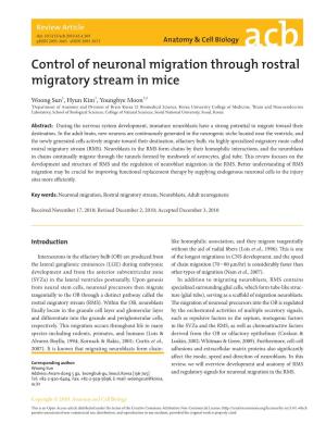 Control of Neuronal Migration Through Rostral Migratory Stream in Mice