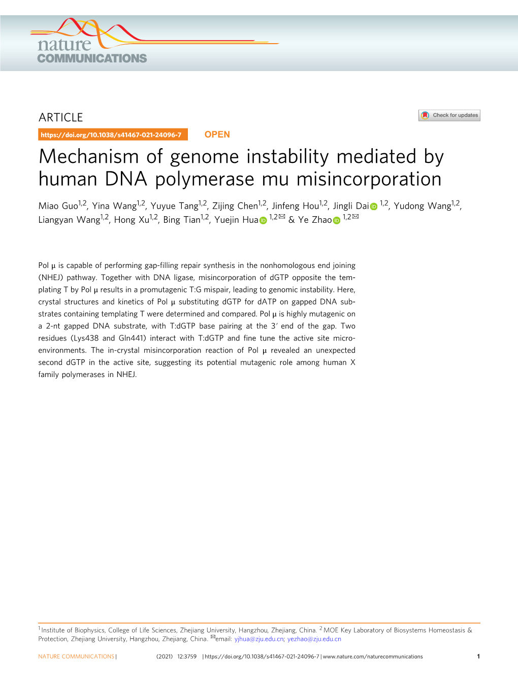 Mechanism of Genome Instability Mediated by Human DNA Polymerase Mu Misincorporation