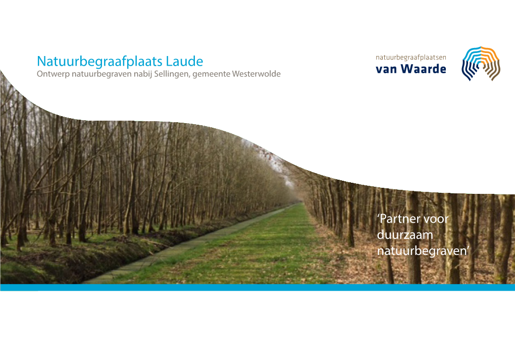 Natuurbegraafplaats Laude Ontwerp Natuurbegraven Nabij Sellingen, Gemeente Westerwolde