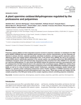 A Plant Spermine Oxidase/Dehydrogenase Regulated