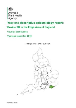 East Sussex (Edge) Year-End Report 2019