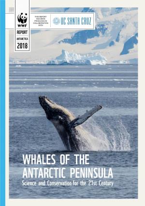 WHALES of the ANTARCTIC PENINSULA Science and Conservation for the 21St Century CONTENTS