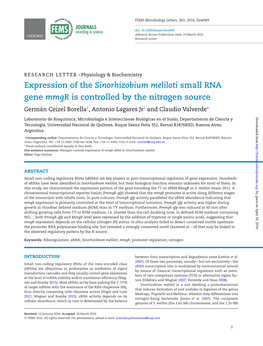 Expression of the Sinorhizobium Meliloti Small RNA Gene Mmgr Is Controlled by the Nitrogen Source