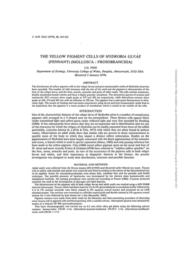 The Yellow Pigment Cells of Hydrobia Ulvae (Pennant) (Mollusca : Prosobranchia) J.D