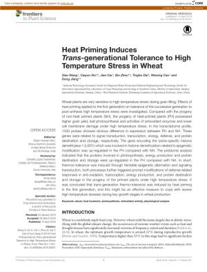 Heat Priming Induces Trans-Generational Tolerance to High Temperature Stress in Wheat