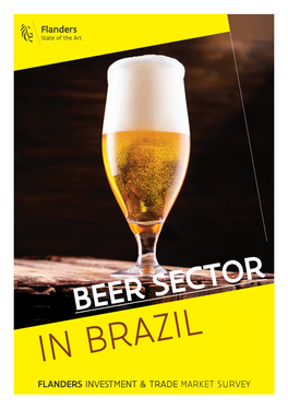 BEER SECTOR in BRAZIL FLANDERS INVESTMENT & TRADE MARKET SURVEY Market Study