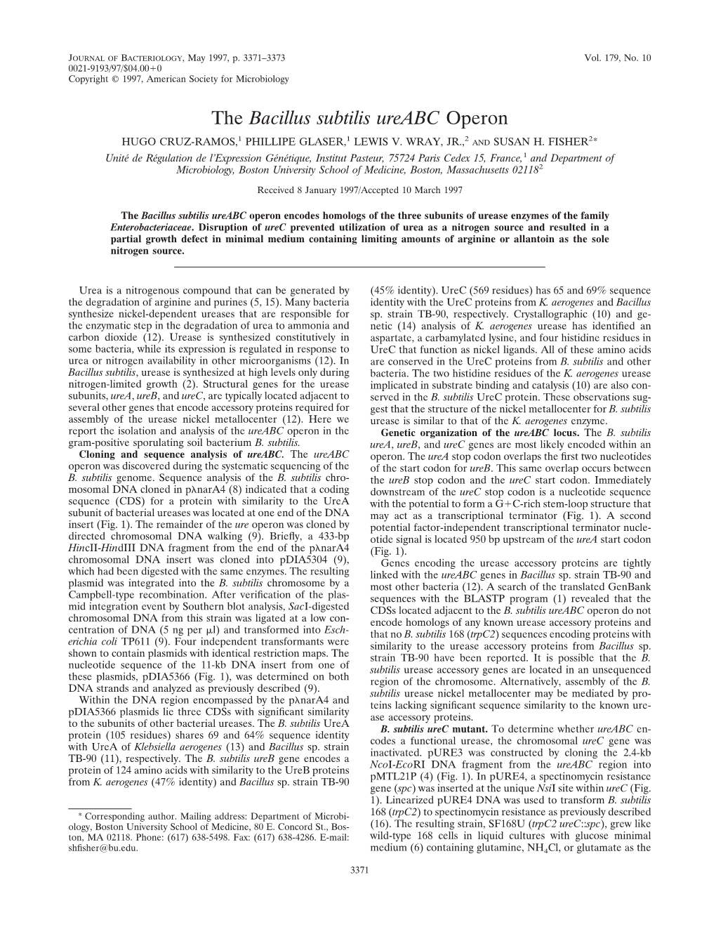 The Bacillus Subtilis Ureabc Operon