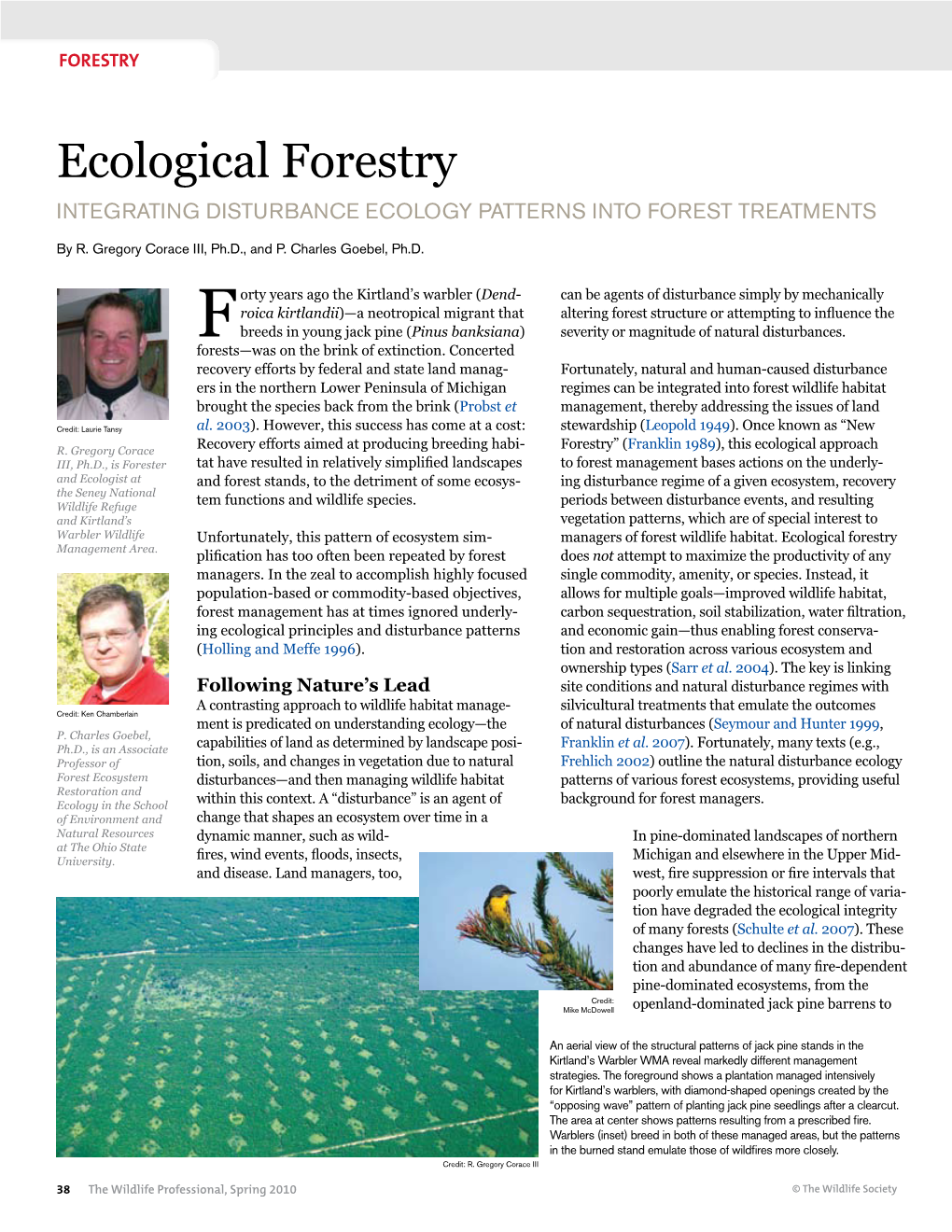 Ecological Forestry Integrating Disturbance Ecology Patterns Into Forest Treatments