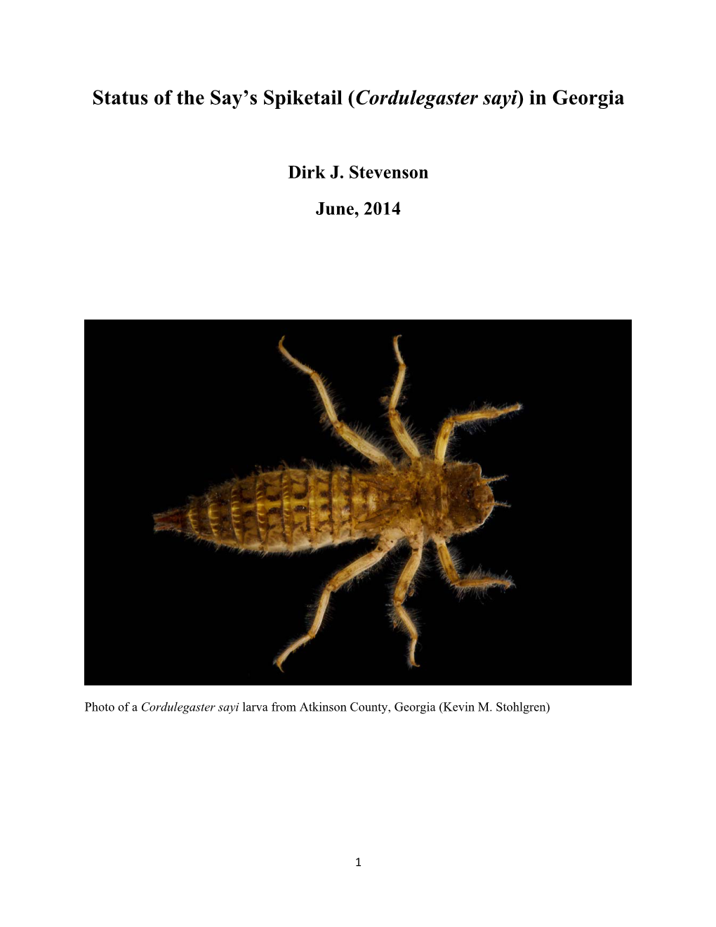 Status of the Say's Spiketail (Cordulegaster Sayi) in Georgia