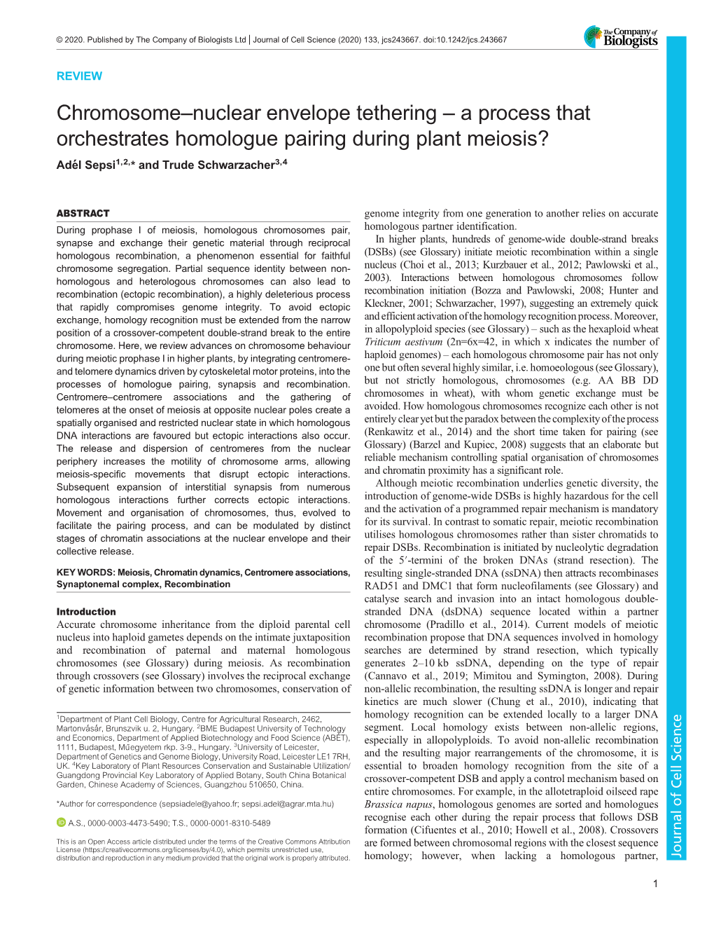 Chromosome–Nuclear Envelope Tethering – a Process That Orchestrates Homologue Pairing During Plant Meiosis? Adél Sepsi1,2,* and Trude Schwarzacher3,4