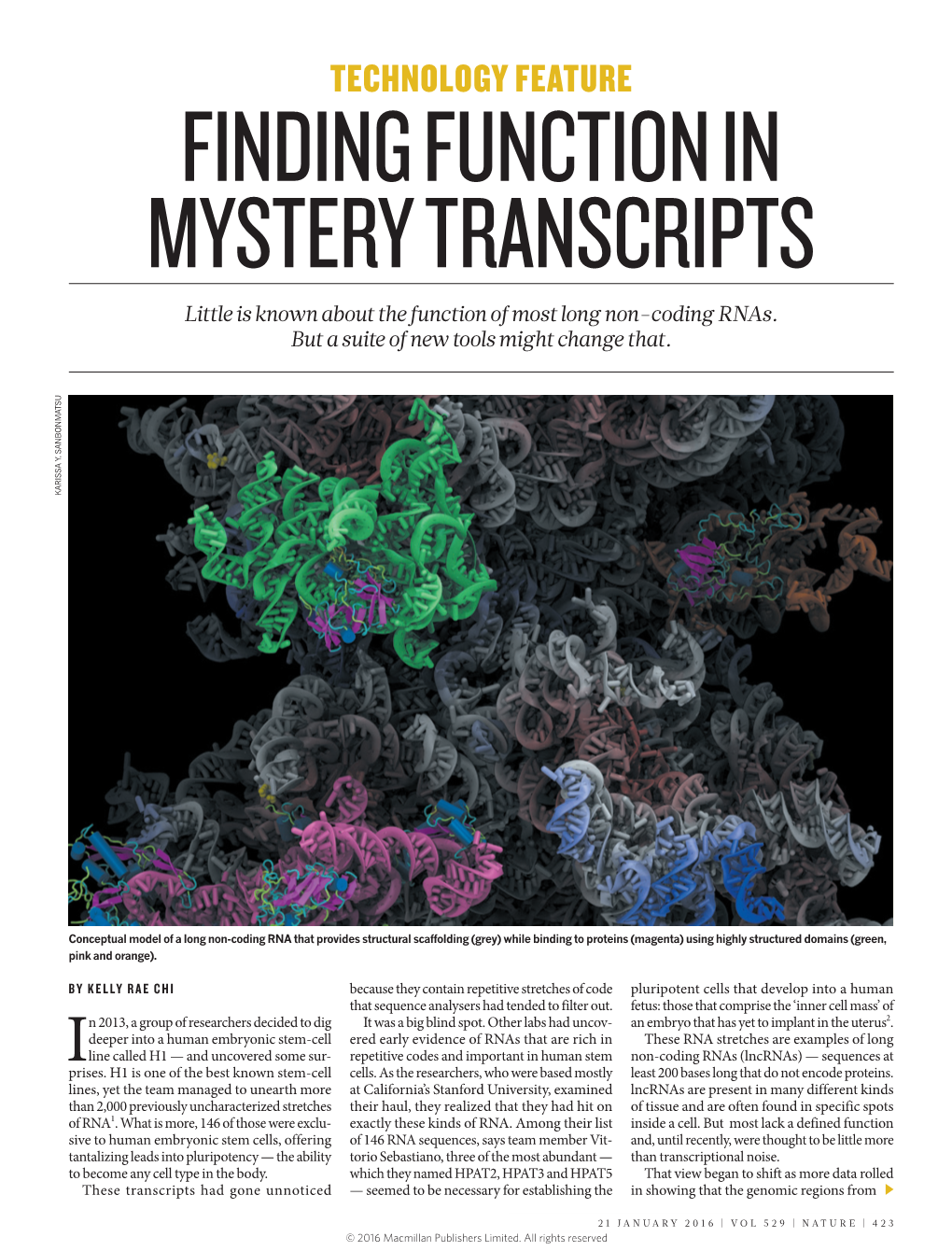 FINDING FUNCTION in MYSTERY TRANSCRIPTS Little Is Known About the Function of Most Long Non-Coding Rnas