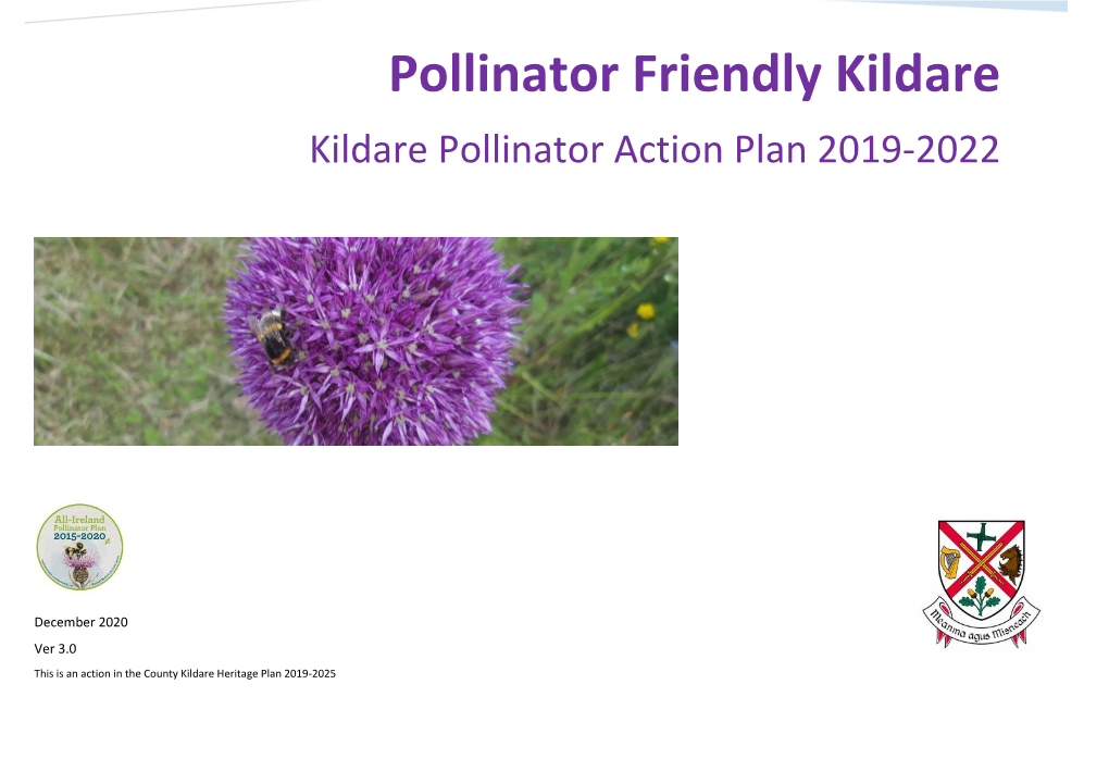 Pollinator Friendly Kildare Kildare Pollinator Action Plan 2019-2022