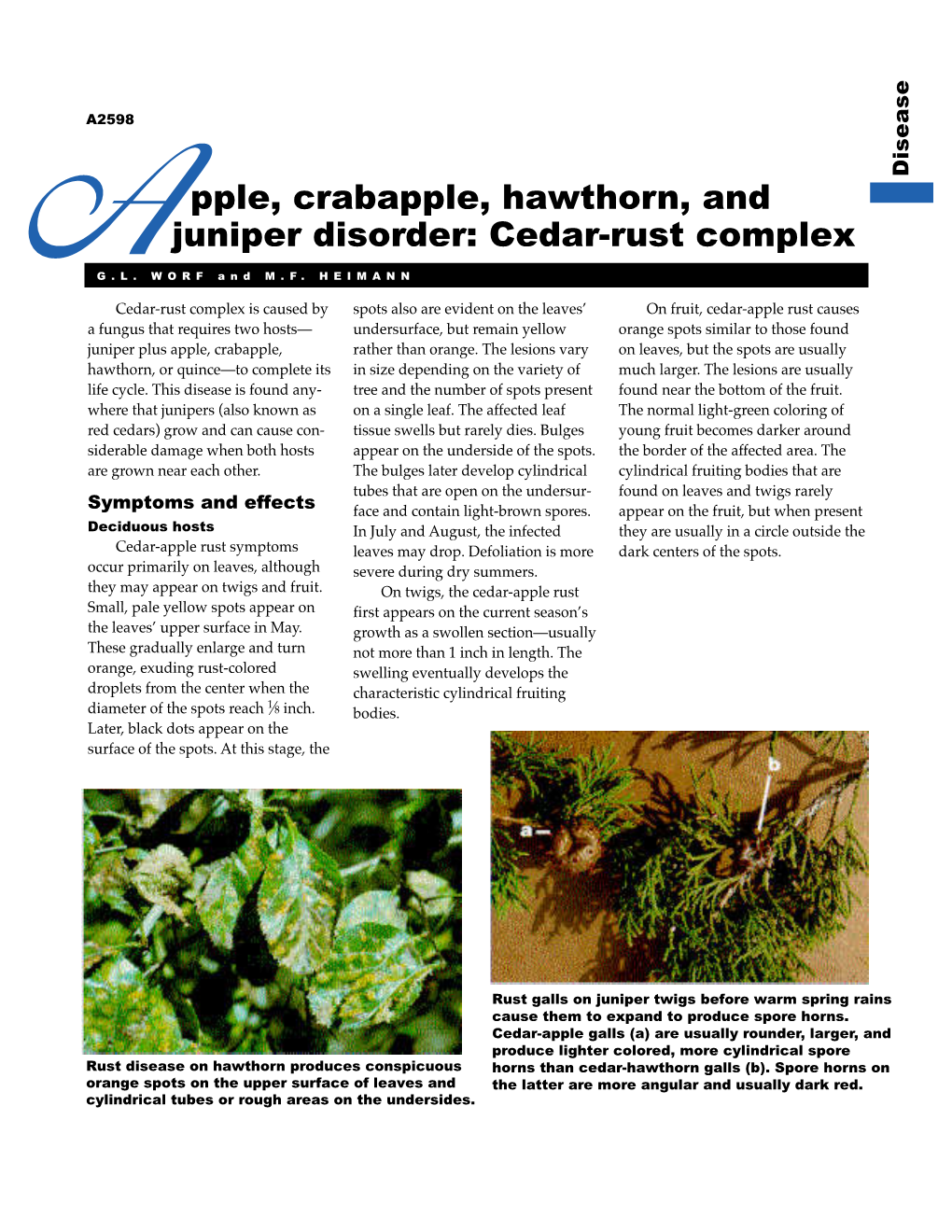 Pple, Crabapple, Hawthorn, and Juniper Disorder: Cedar-Rust Complex AG.L