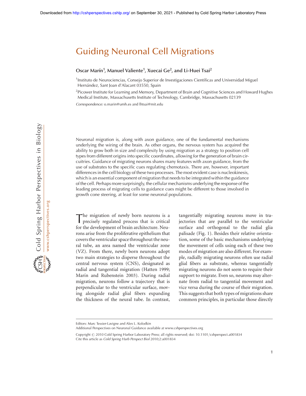 Guiding Neuronal Cell Migrations