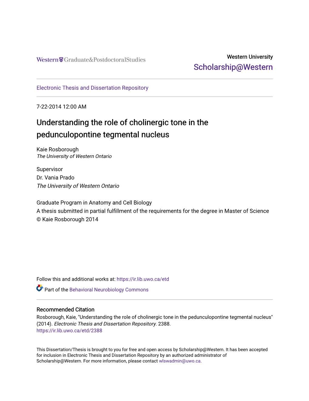 Understanding the Role of Cholinergic Tone in the Pedunculopontine Tegmental Nucleus