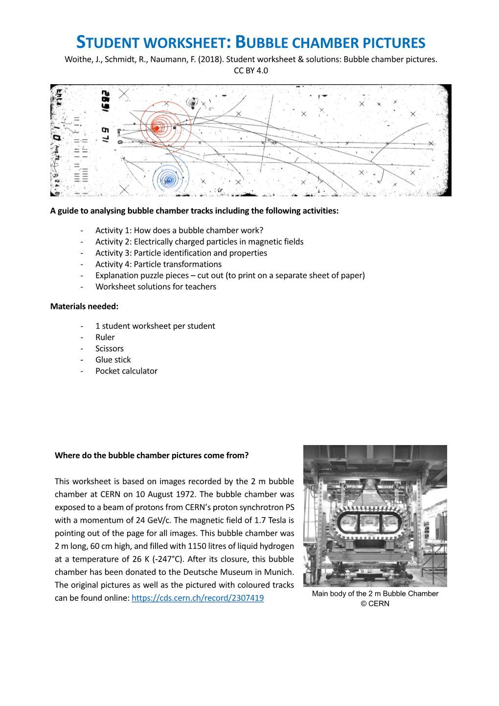 Student Worksheet:Bubble Chamber