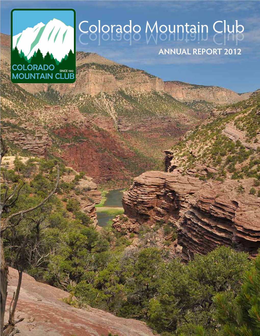 2012 Annual Report