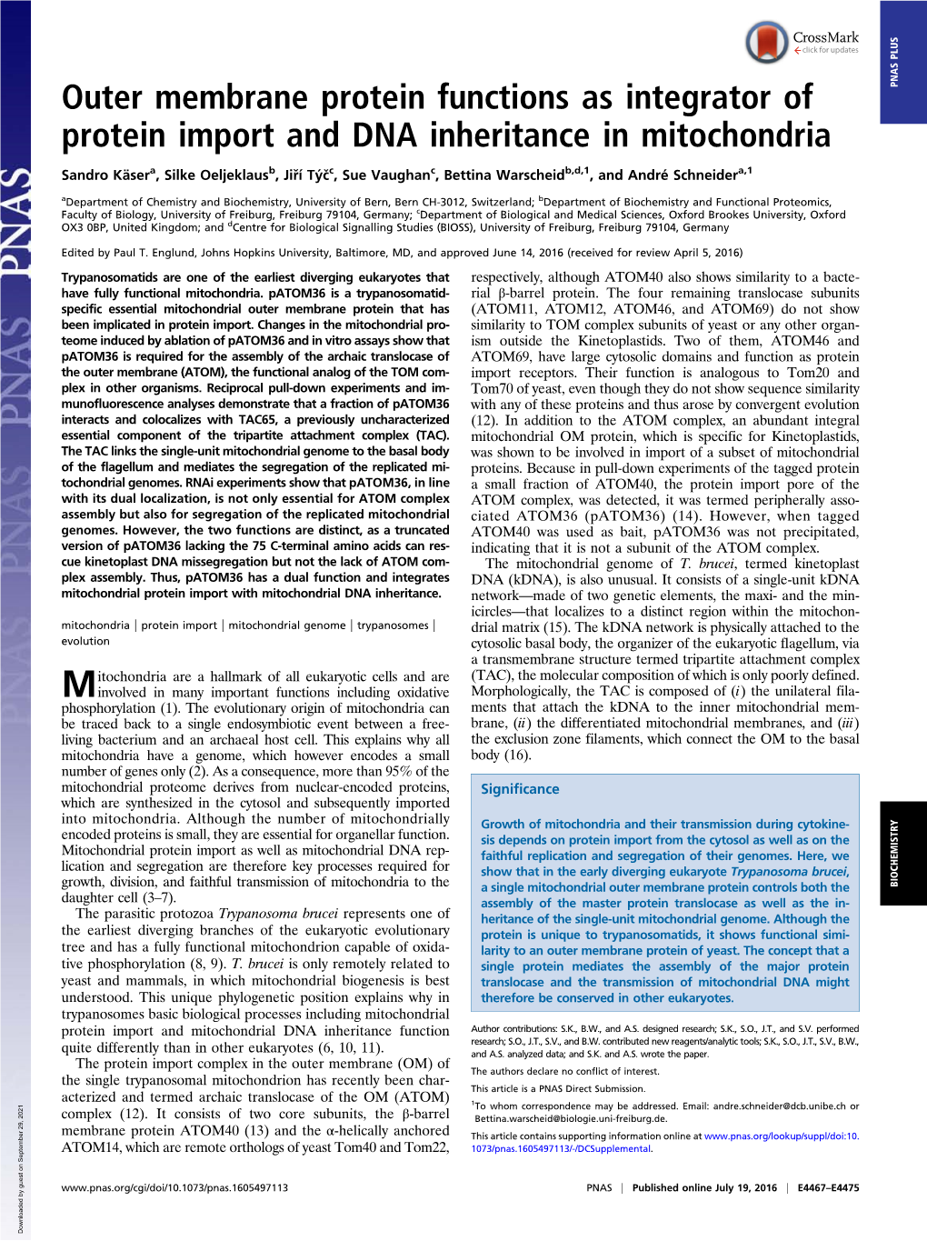 Outer Membrane Protein Functions As Integrator of Protein Import And