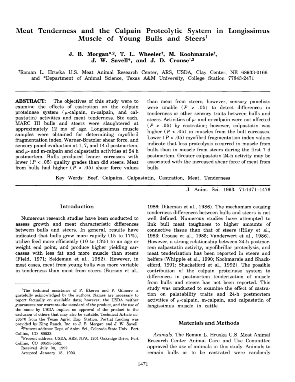 Meat Tenderness and the Calpain Proteolytic System in Longissimus Muscle of Young Bulls and Steers1