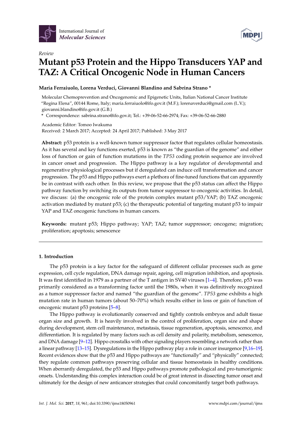 Mutant P53 Protein and the Hippo Transducers YAP and TAZ: a Critical Oncogenic Node in Human Cancers