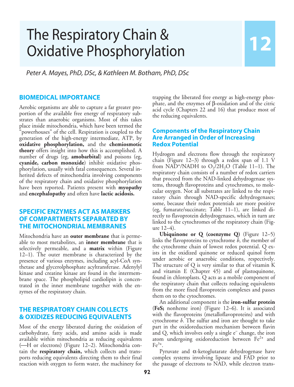 The Respiratory Chain & Oxidative Phosphorylation