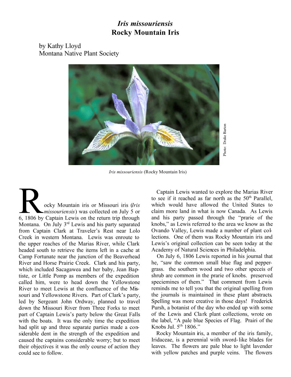 Iris Missouriensis (Rocky Mountan Iris) (Pdf)