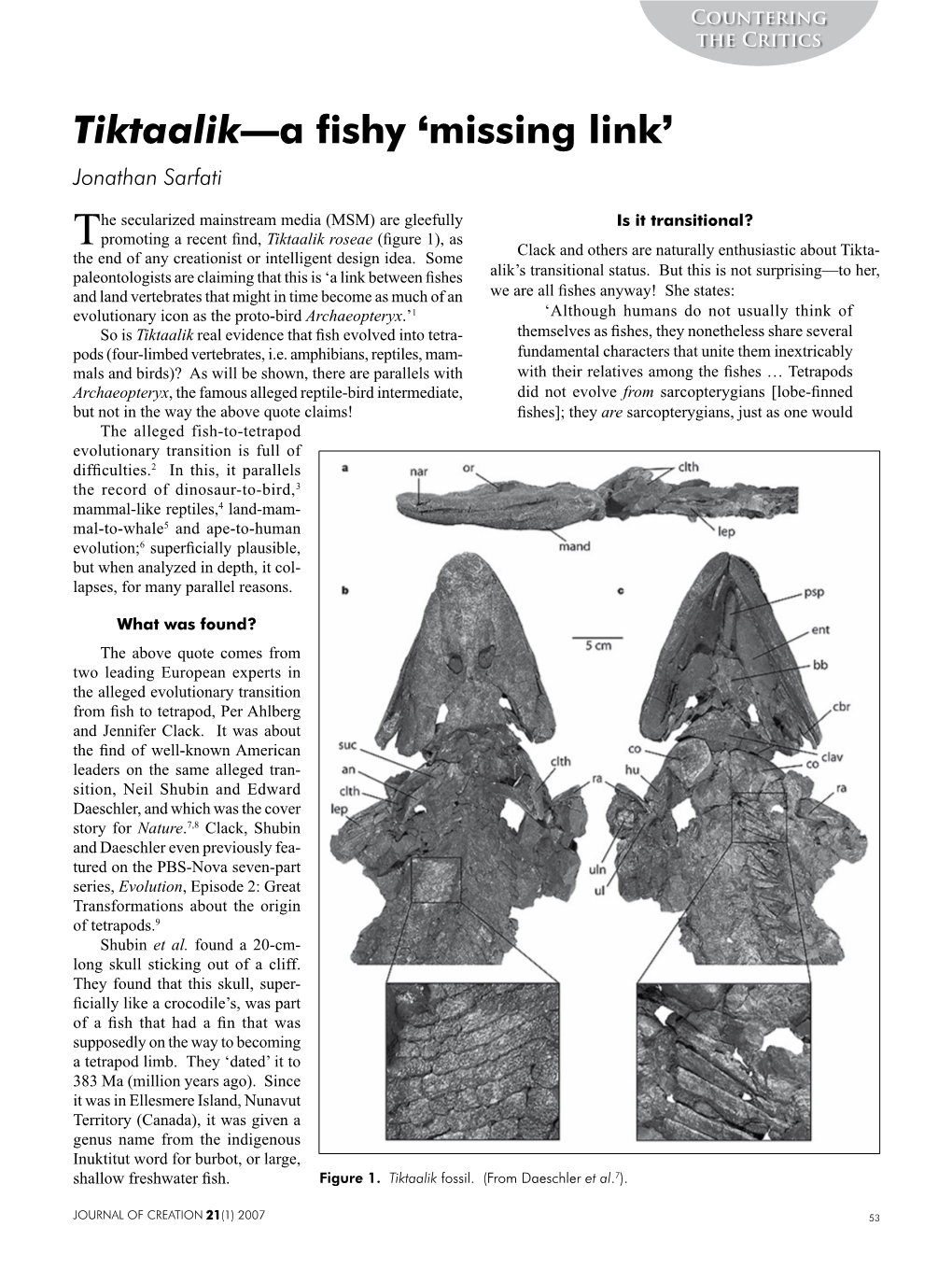 Tiktaalik—A Fishy 'Missing Link'