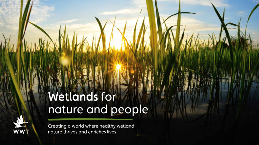 Creating a World Where Healthy Wetland Nature Thrives and Enriches Lives