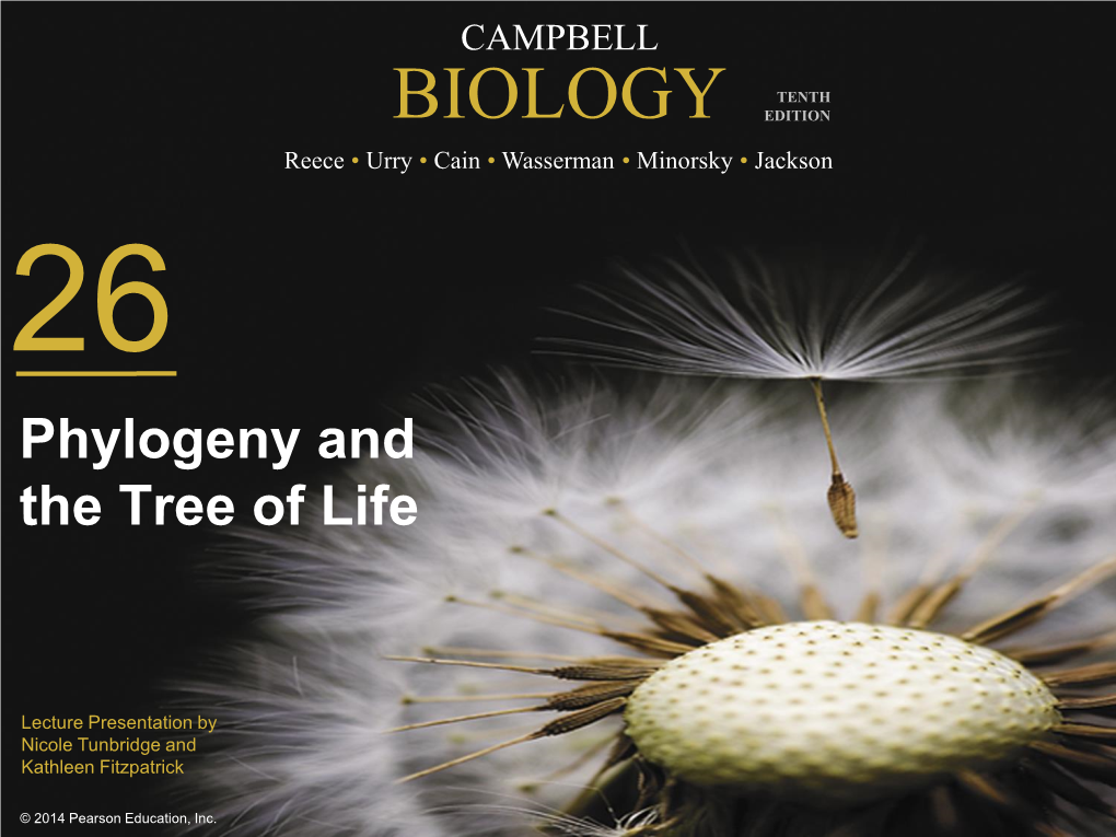 BIOLOGY EDITION Reece • Urry • Cain • Wasserman • Minorsky • Jackson 26 Phylogeny and the Tree of Life