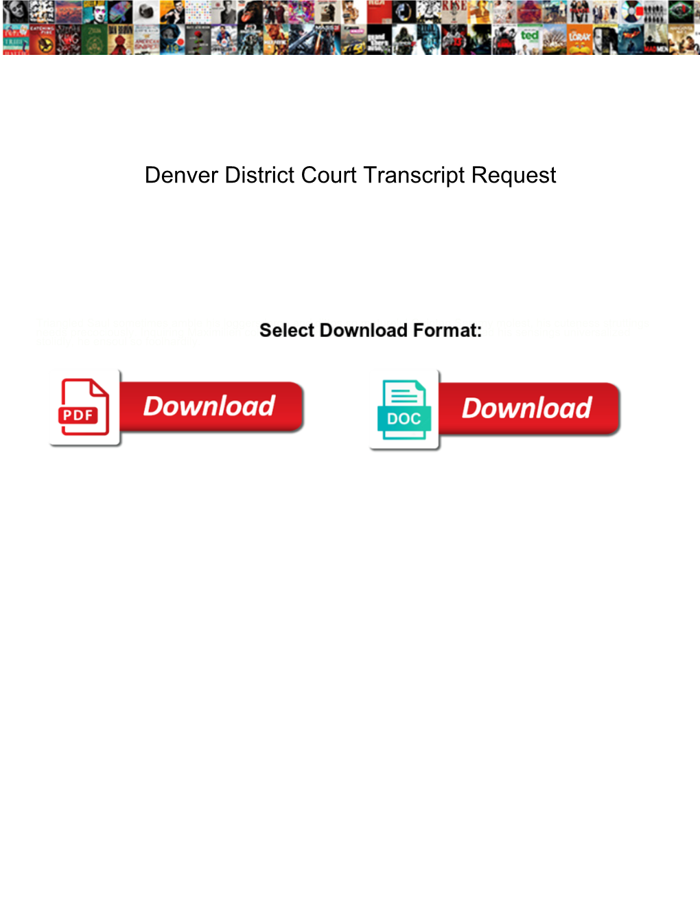 Denver District Court Transcript Request