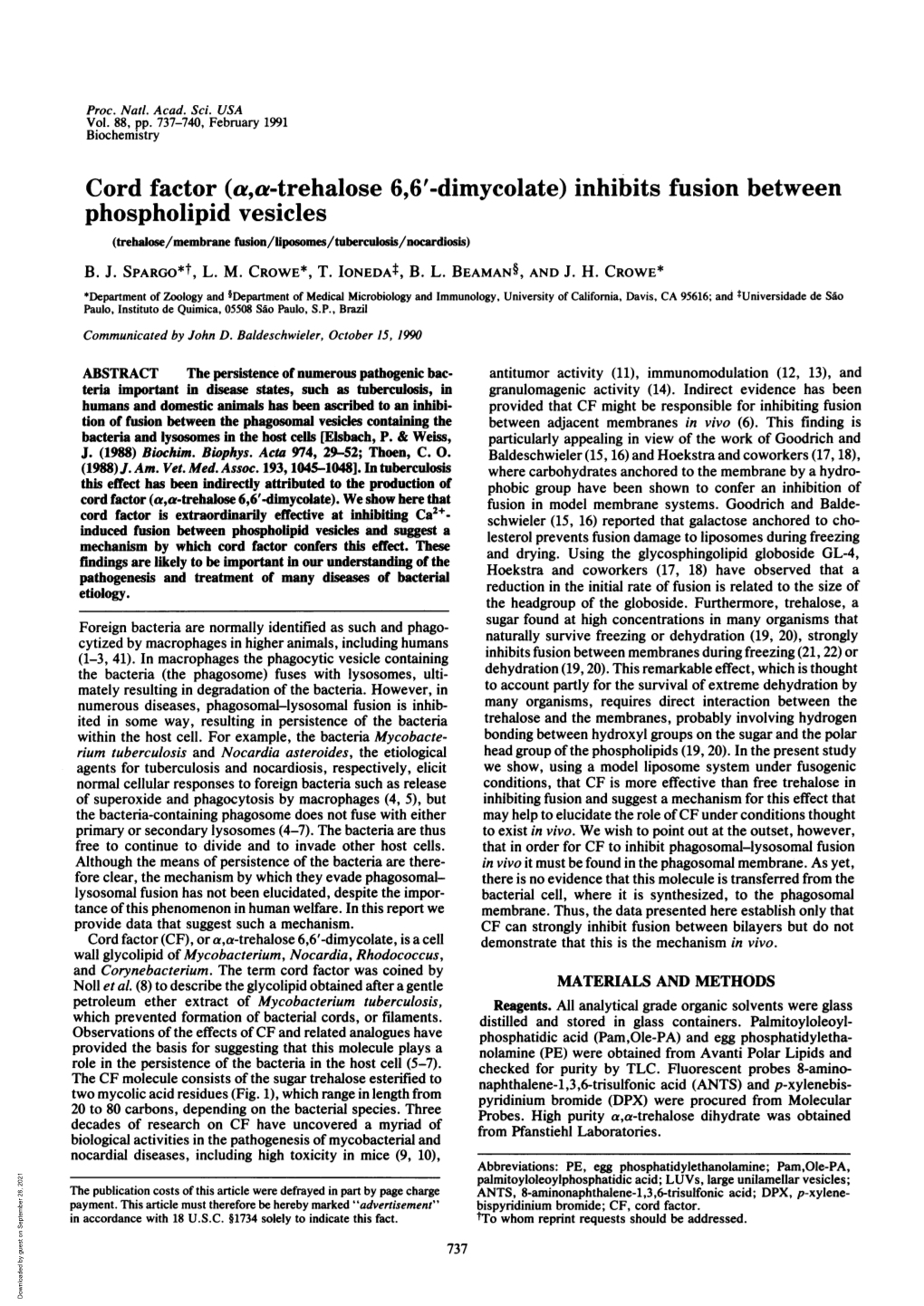 Cord Factor (A,A-Trehalose 6,6'-Dimycolate) Inhibits Fusion Between Phospholipid Vesicles (Trehalose/Membrane Fusion/Liposomes/Tuberculosis/Nocardiosis) B