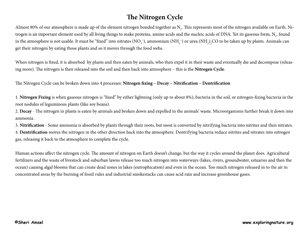 The Nitrogen Cycle